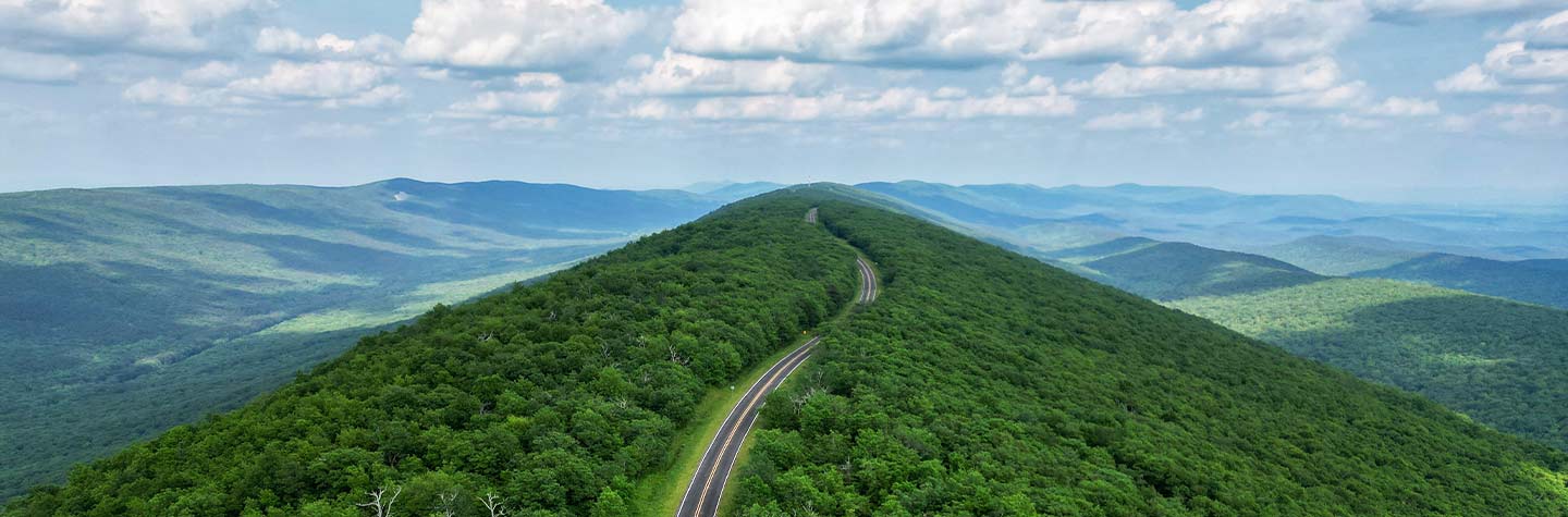 road in ouachita national forest, arkansas